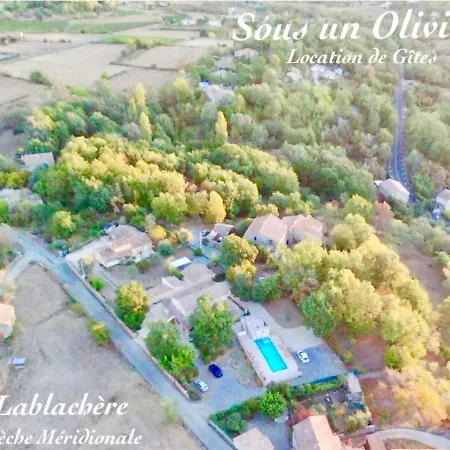 Sous Un Olivier Gite Le Chataignier